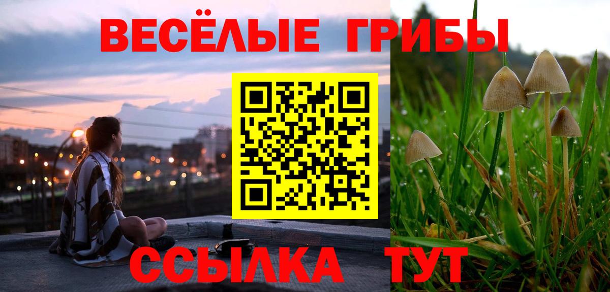 Бошки Шишки Вязьма