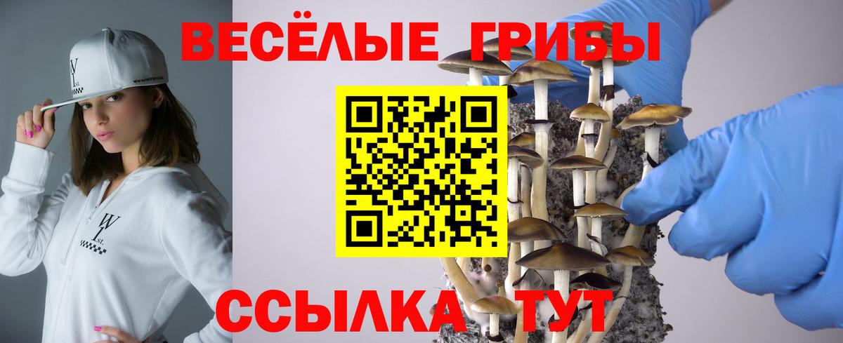 Галлюциногенные грибы прущие грибы  Псилоцибиновые грибы Cubensis  Вязьма  Вход с VPN 