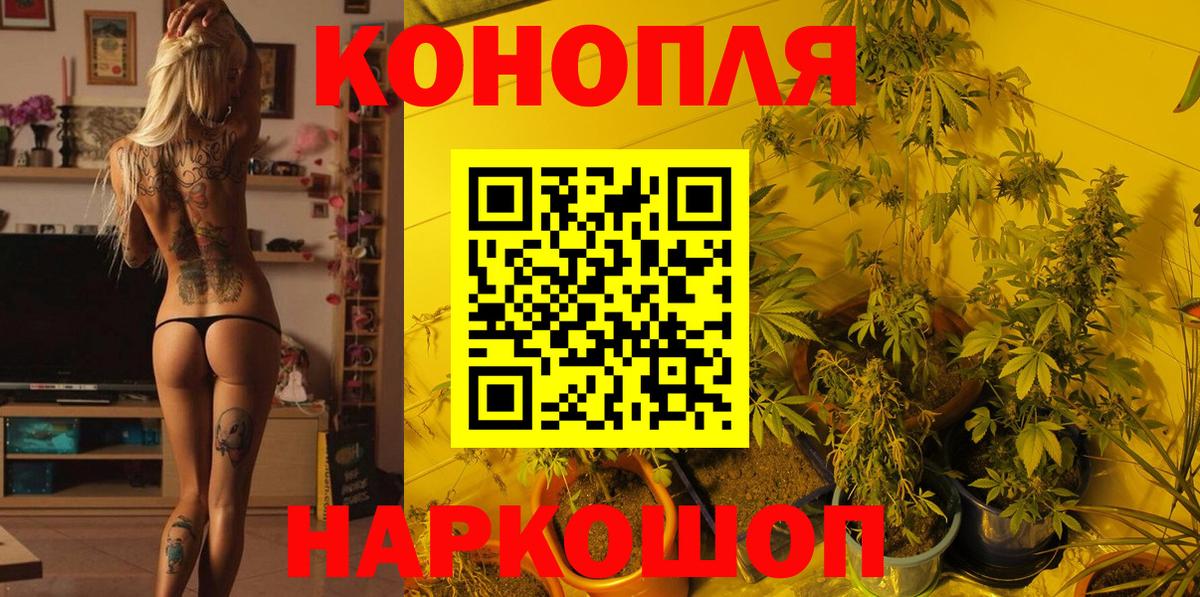 Конопля ГИДРОПОН Вязьма